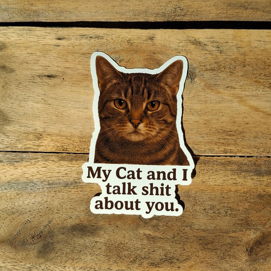 My Cat and I Talk Shit About you.